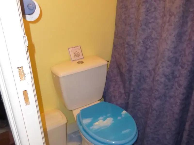 Chambre Chez L'Habitant - Proche Du Centre - Salle D'Eau Et Wc Prives Bordeaux Kültér fotó