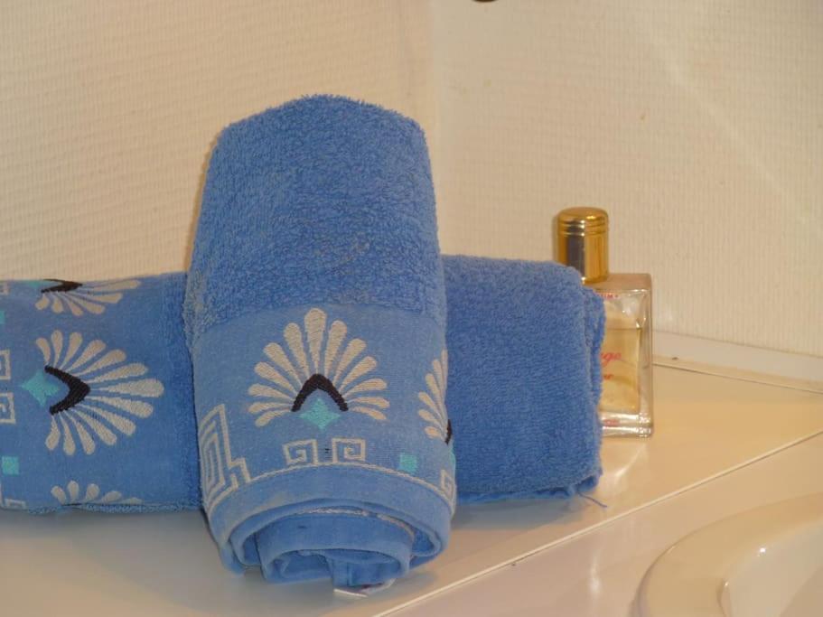 Chambre Chez L'Habitant - Proche Du Centre - Salle D'Eau Et Wc Prives Bordeaux Kültér fotó